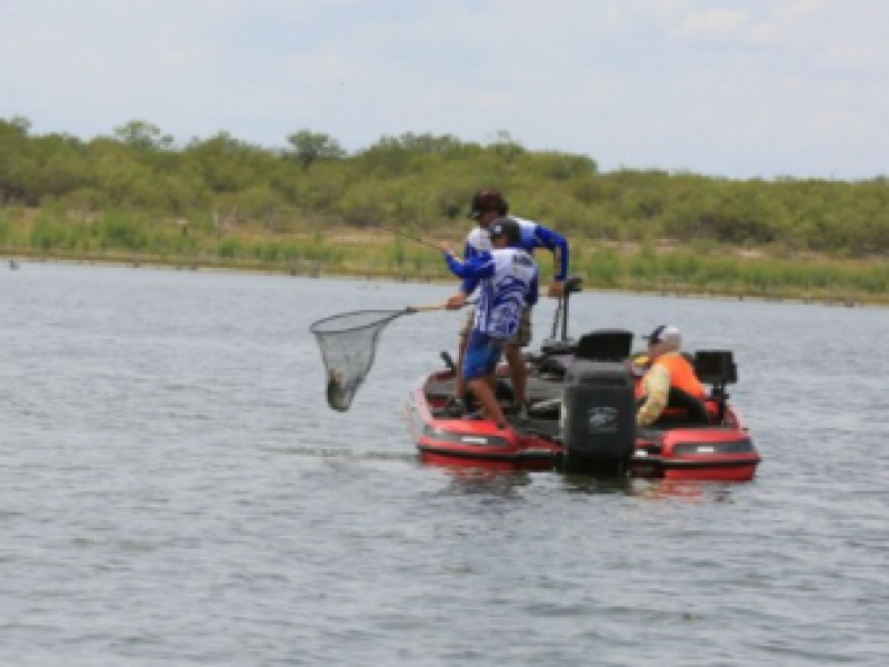 Prevé gobierno federal incluir a pescadores en apoyos económicos