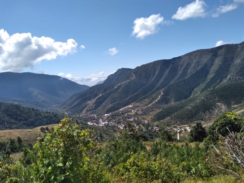 Prevén afectaciones a cultivos en Sierra Negra por fríos