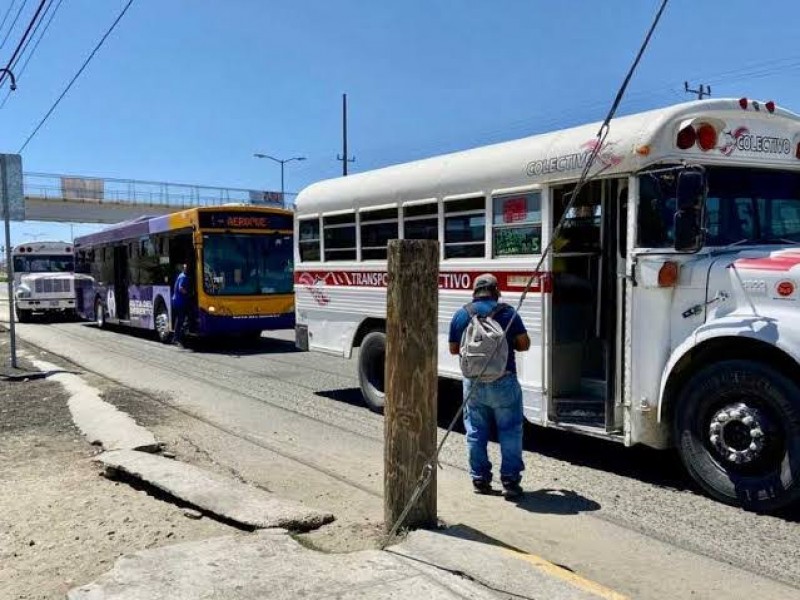 Prevén ampliar rutas del transporte público en CSL