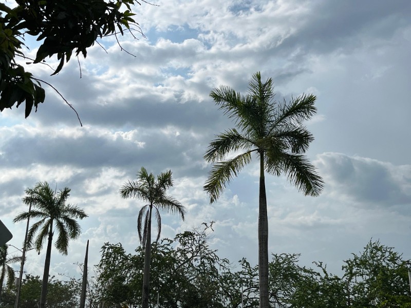 Prevén calor y tormentas aisladas en el norte veracruzano