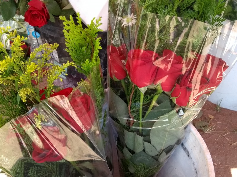 📹Prevén floristas ligero o nulo incremento a flores