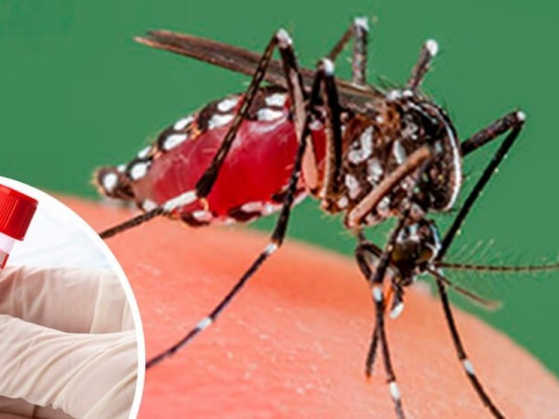 Prevén incremento de casos de dengue para los próximos meses