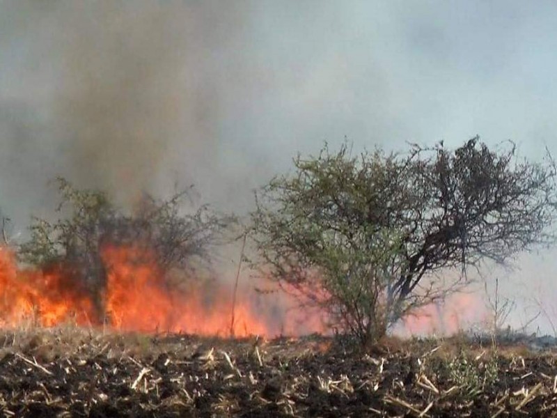 Prevén incremento de incendios forestales en región Zamora