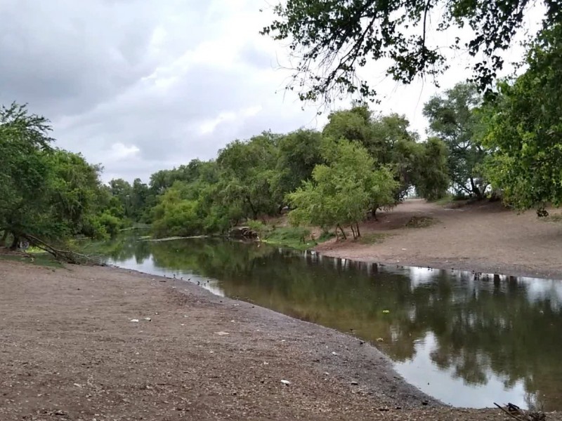 Prevén que avistamiento de cocodrilos disminuya visitas al río