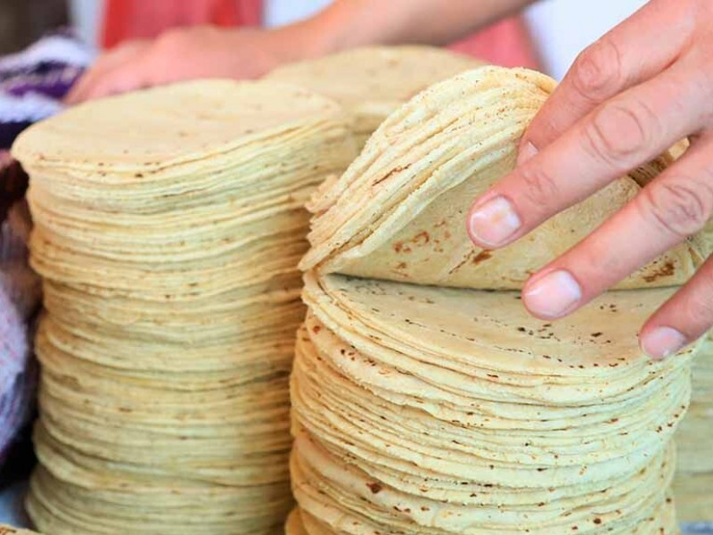 Prevén regulación de industriales de la tortilla en Chiapas