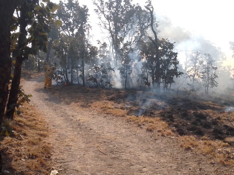 Previene Tlajomulco incendios forestales en La Primavera y Cerro Viejo
