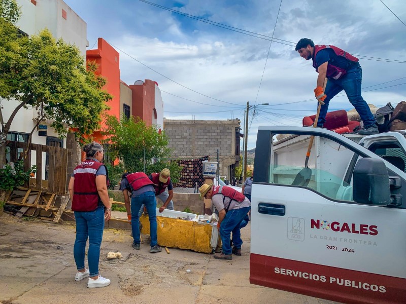 Previenen en colonias Dengue y Rickettsia