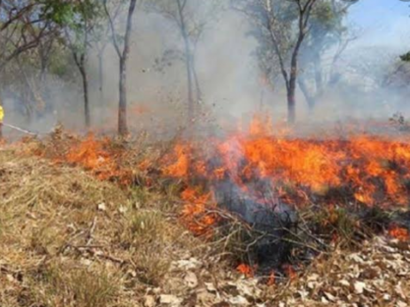 Previenen incendios en regiones afectadas