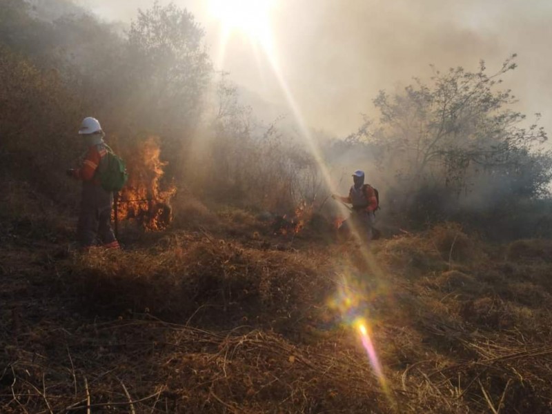 Primer gran incendio del año en Área Natural Protegida