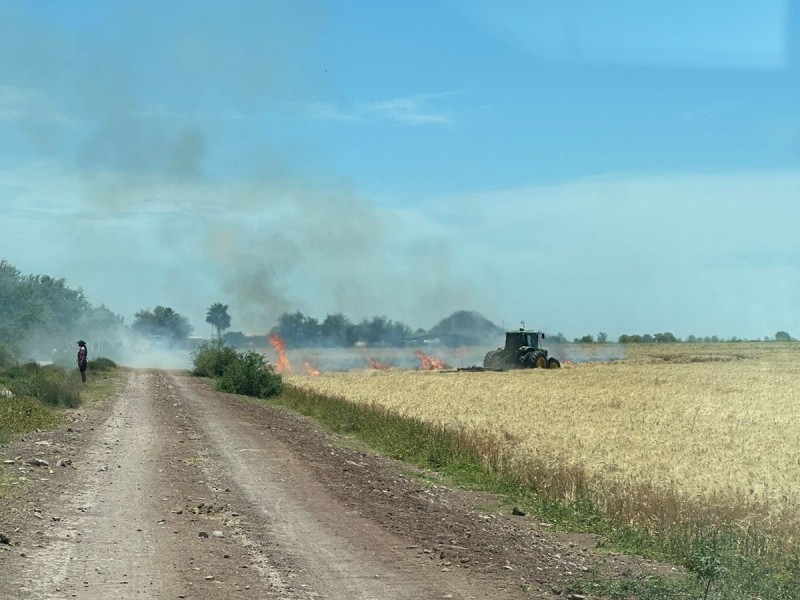 Primer incendio de trigo de la temporada en Etchojoa