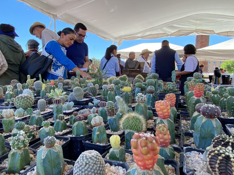 Primera Expo Plant Zacatecas 2024 para amantes de la naturaleza