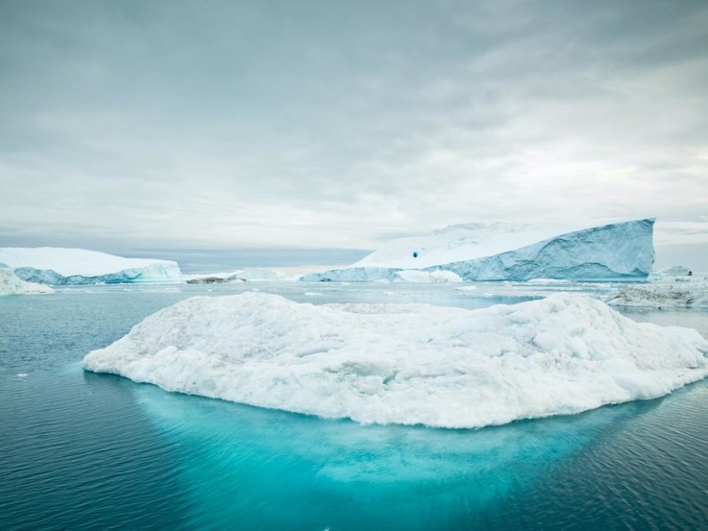Primeras imágenes del iceberg antártico A81