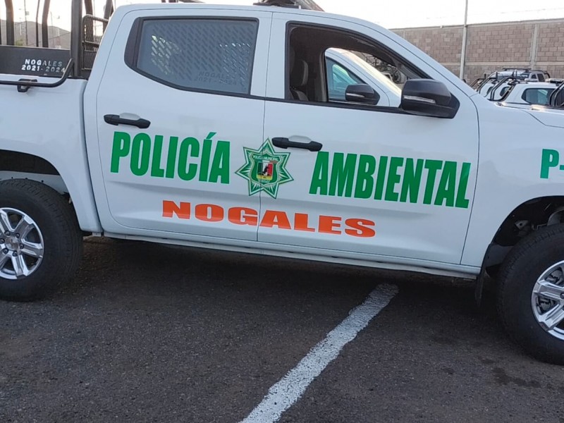 Primeros resultados de la policía ambiental