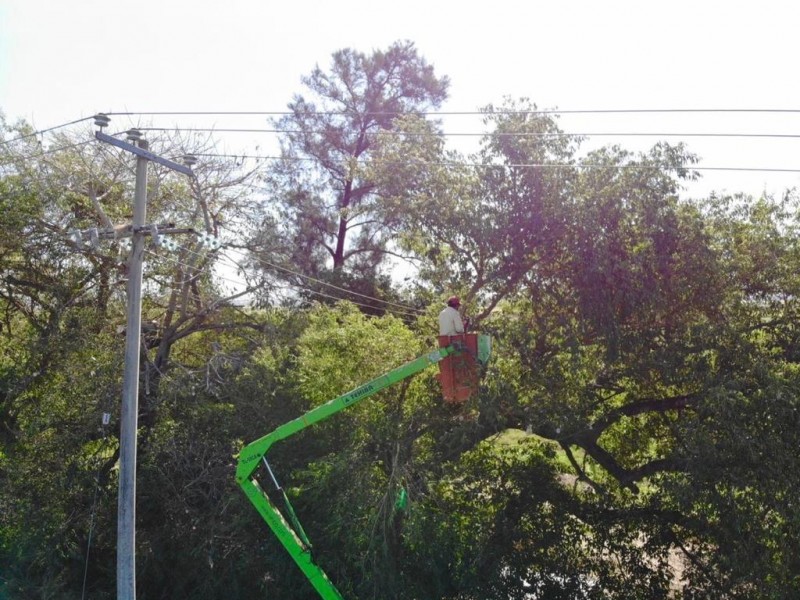 Prioriza parques y jardines atención a denuncias acompañadas por evidencias