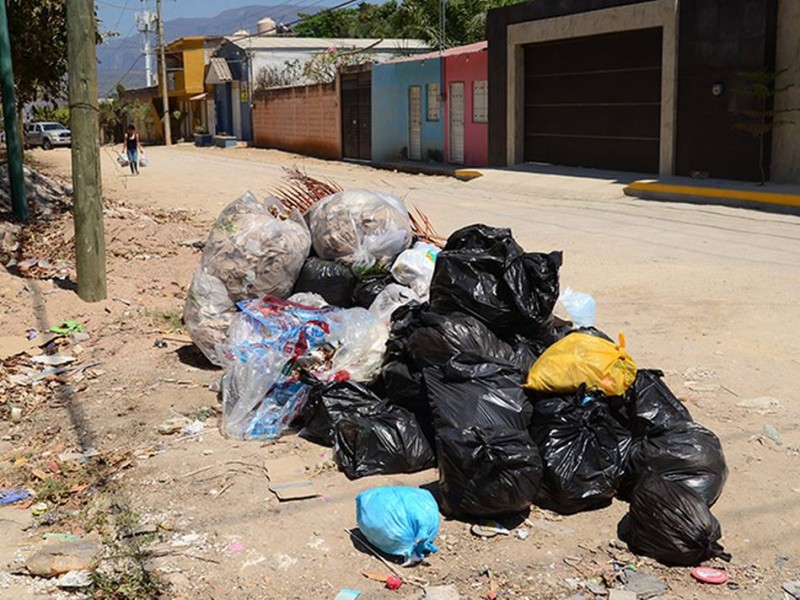 Problema de basura fuera de horario una constante