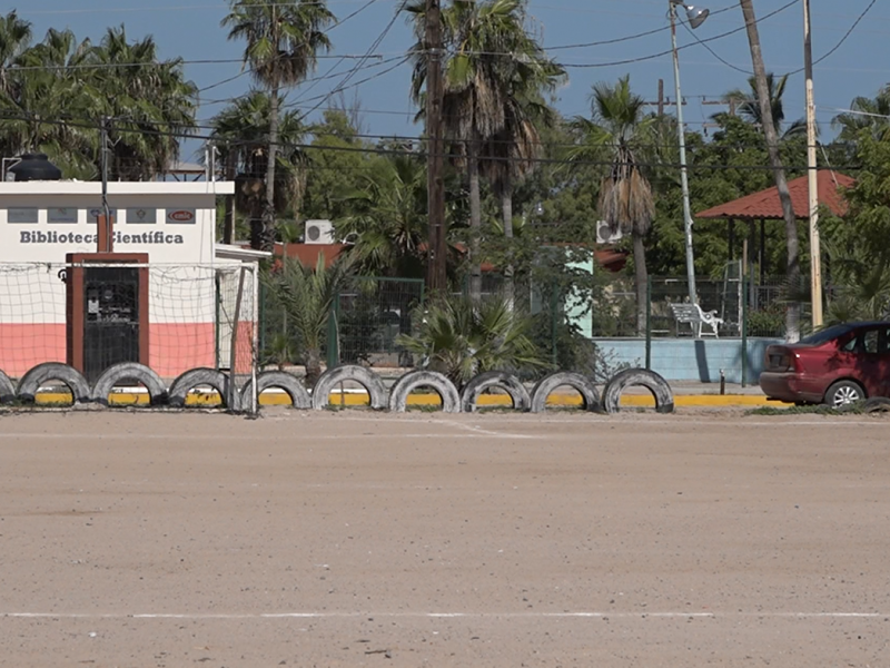 Problema de zancudos en Centenario