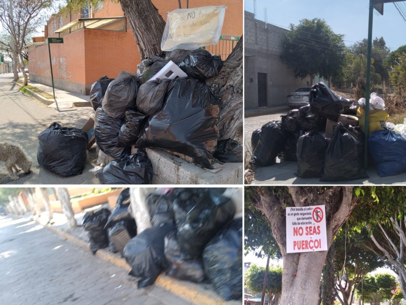 Problemas de acumulación de basura continúan, amagan con tomar medidas