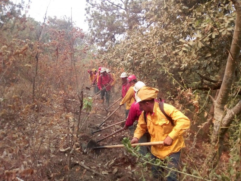 PROBOSQUE atiende incendio forestal en Tlatlaya