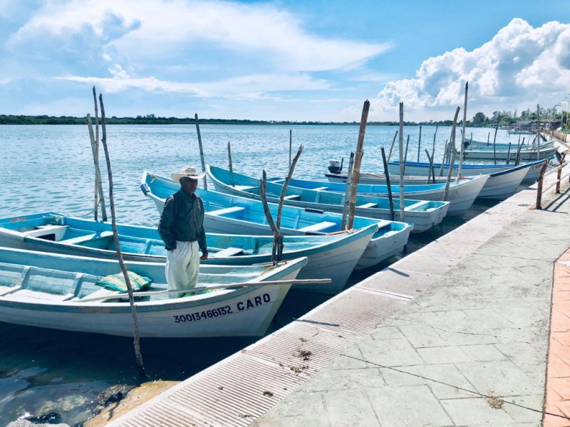 Procede demanda contra cooperativa de pesca