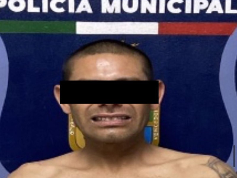Procesan a hombre por crueldad hacia perrita Luna