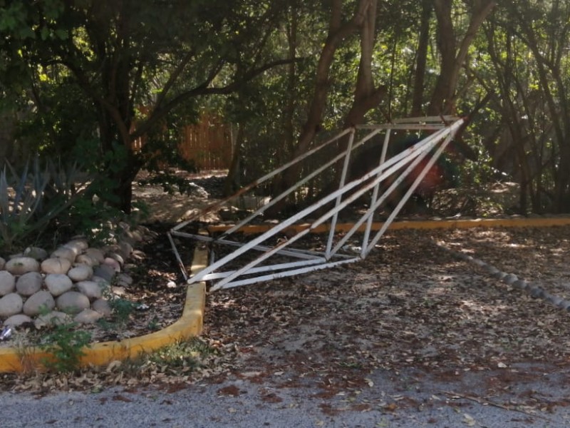 Procuraduría de Protección al Ambiente abandonó mobiliario de playa decomisado