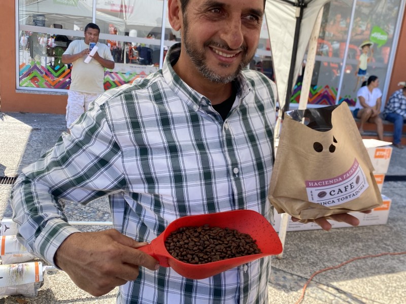Producción de café en Zihuatanejo, oportunidad de explotarlo turísticamente