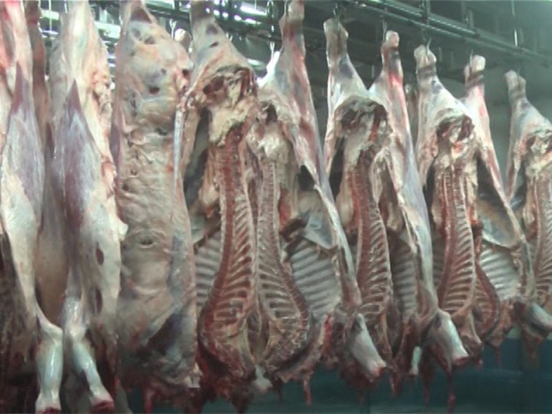 Producción de carne podría verse afectada con recortes al presupuesto