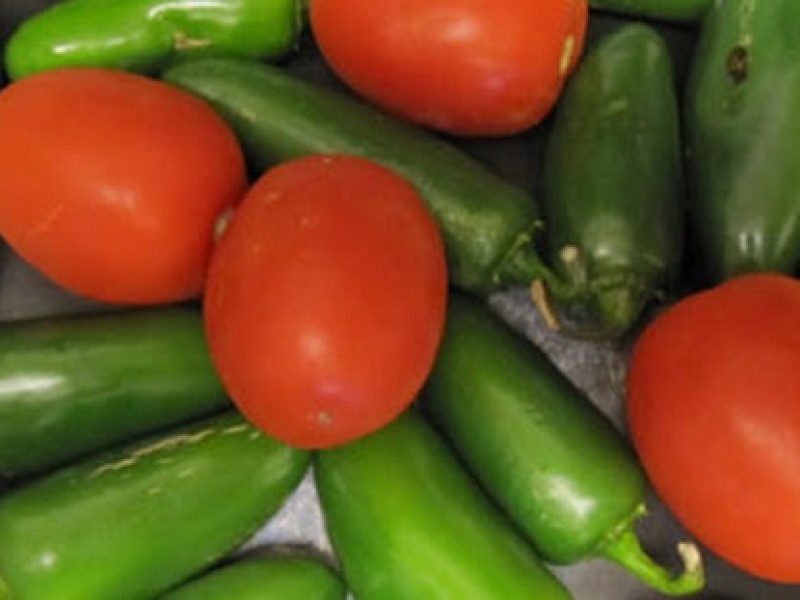 Producción de chile y jitomate chiapaneco se destaca en México