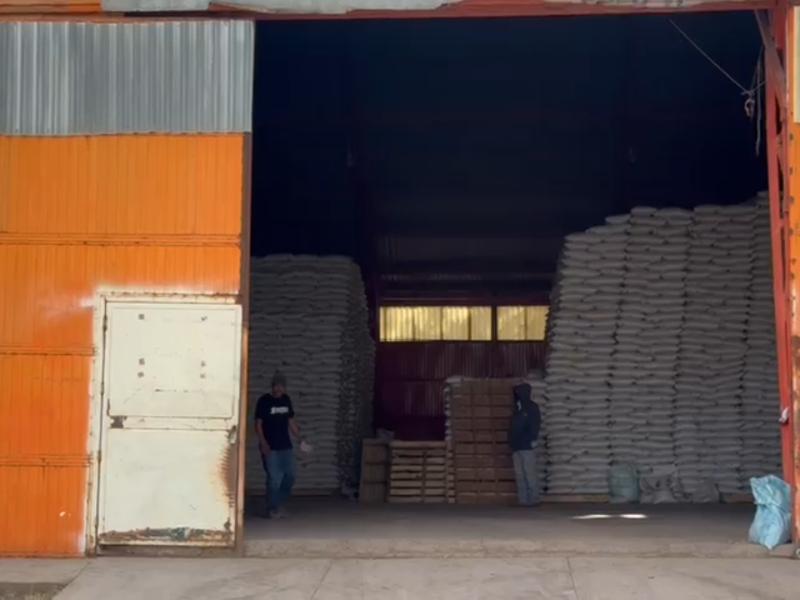 Producción agrícola en Durango caería en cultivos como frijol.