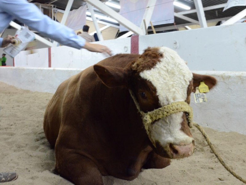 Produce Sonora mas de 700 mil toneladas de carne