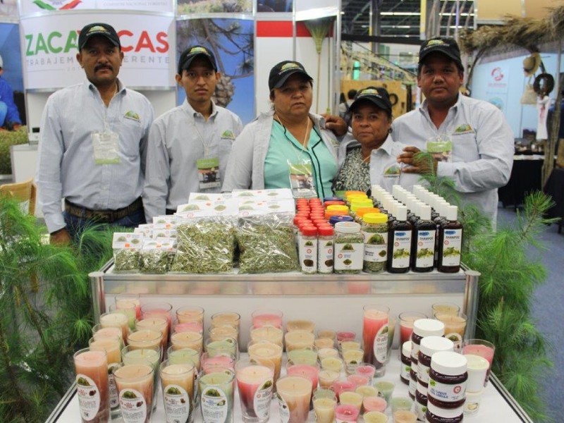 Producen veladoras con cera de Candelilla