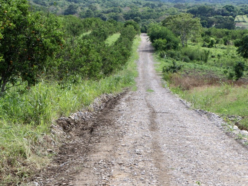 Productores agrícolas denuncias afectaciones en caminos saca cosecha