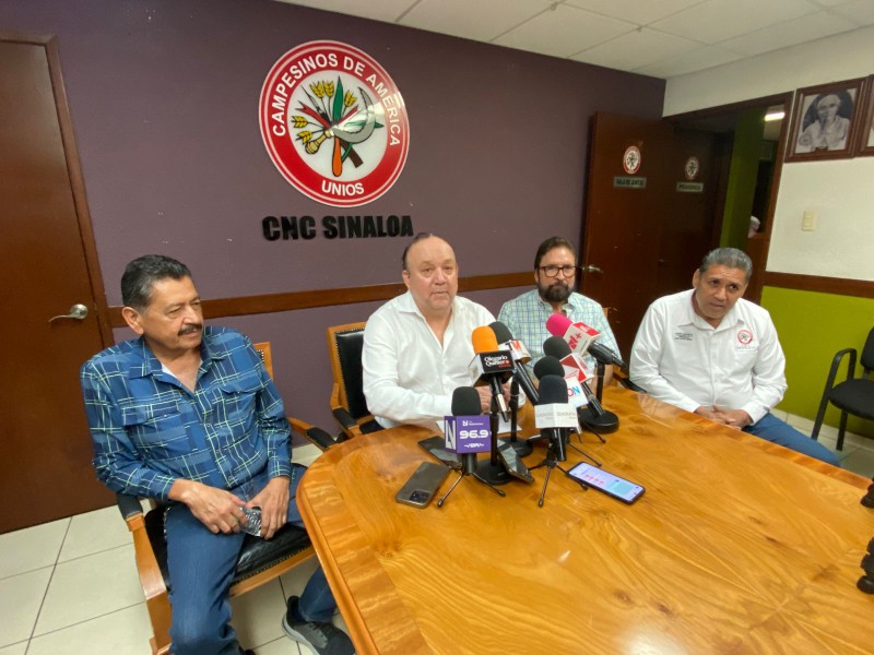 Productores Agrícolas piden 20 mil MDP de presupuesto para comercialización 2026