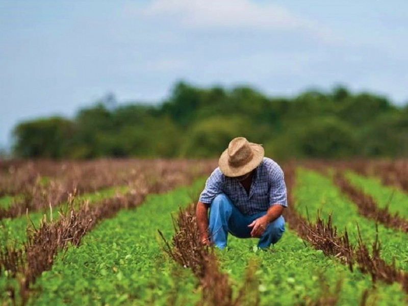 Productores agrícolas temen por su seguridad