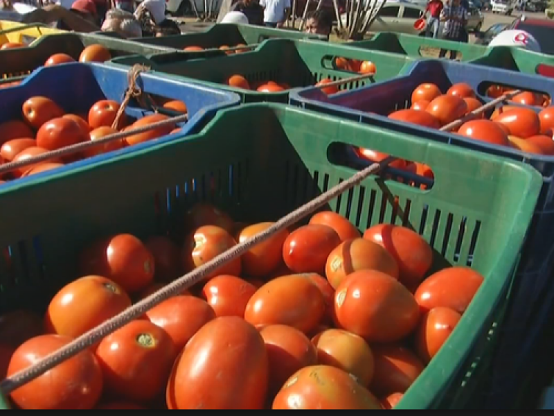 Productores agrícolas piden negociar arancel