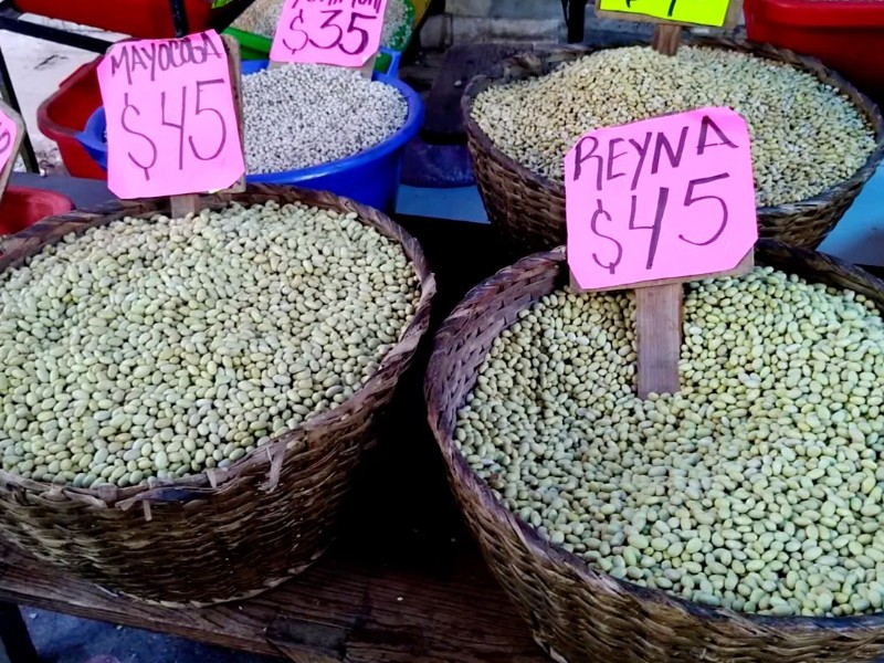 Productores alertan crisis por sobreproducción de frijol