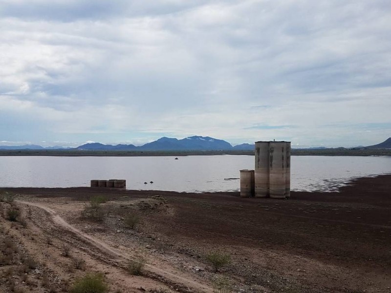 Productores apuestan a captación de presas para próximas siembras