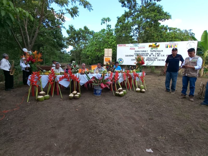 Productores buscan elevar calidad de cacao y café para exportación