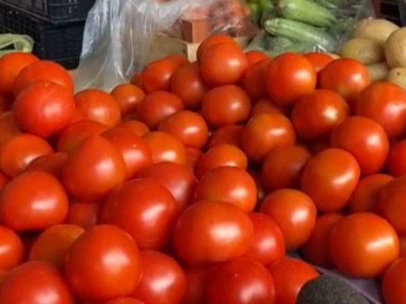 Productores confiados en que eliminarán el arancel como en otros años