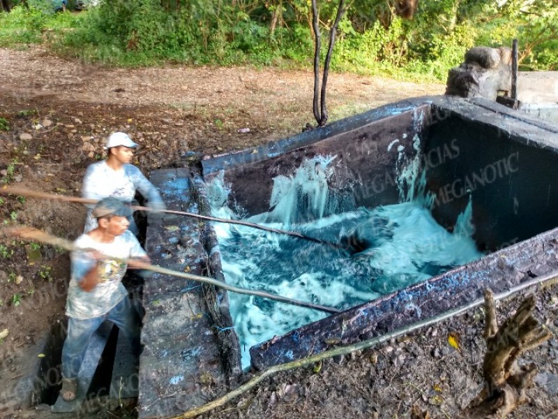 Productores de añil de Santiago Niltepec