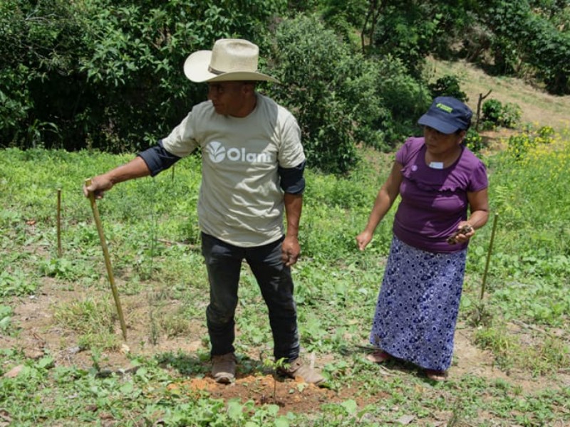 Productores de café de la región Sierra denuncian exclusión financiera