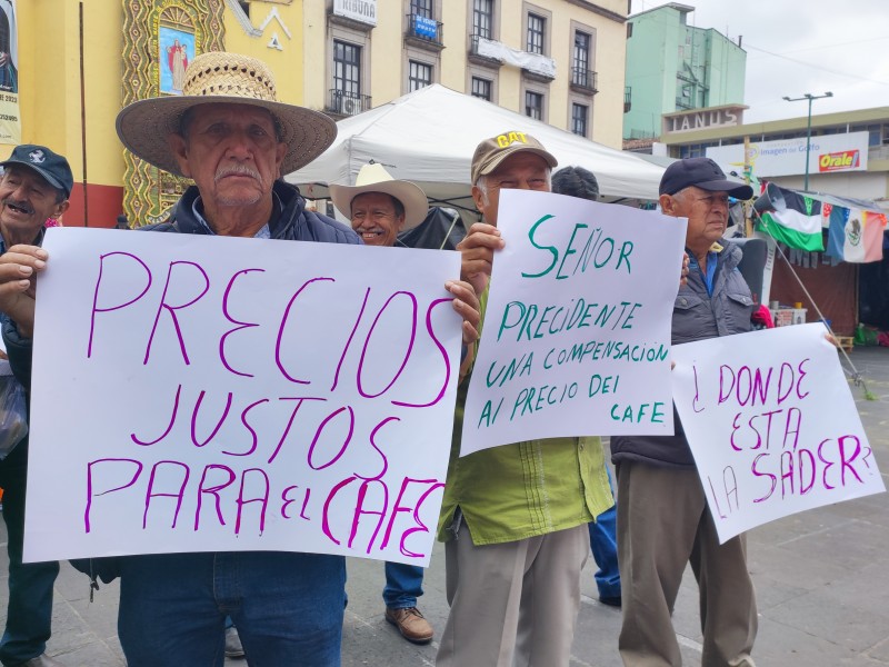 Productores de café de Veracruz advierten pérdida de cosechas