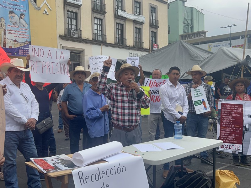 Productores de café denunciarán a la empresa AMSA