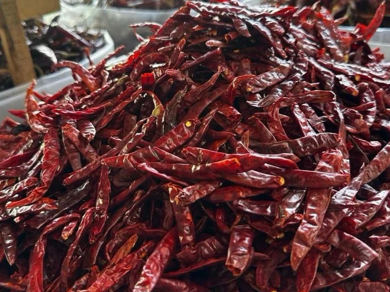 Productores de cebolla y chile en alertan por importaciones