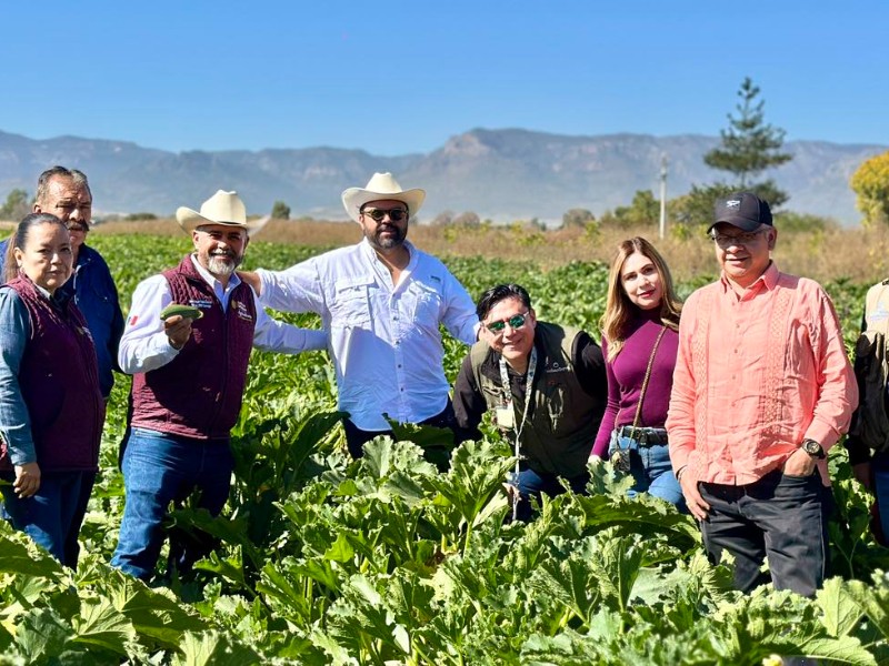 Productores de Durango reciben capacitación para integrarse a mercados nacionales e internacionales Productores de Durango reciben capacitación para integrarse a mercados nacionales e internacionales