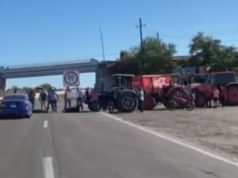 Productores de Elota Exigen Precios Justos para el Maíz