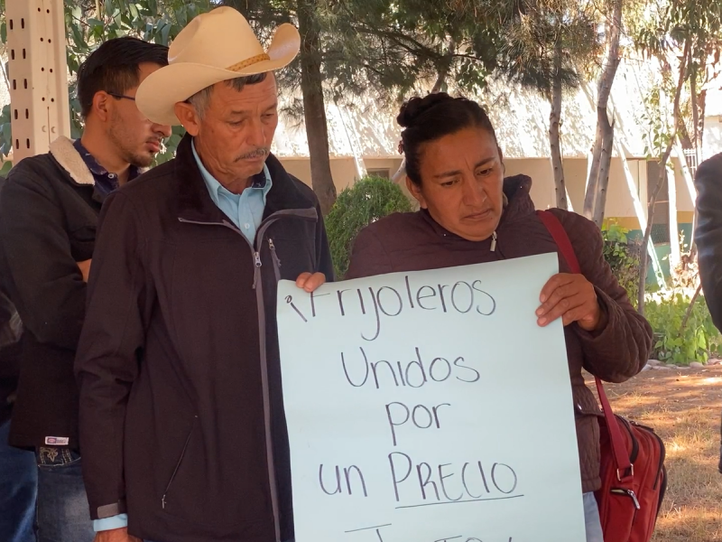 Productores de frijol demandan precio de garantía justo en Zacatecas