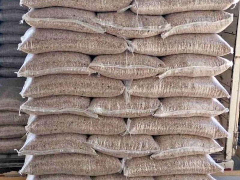 Productores de frijol en Fresnillo y Pánuco denuncian a Segalmex