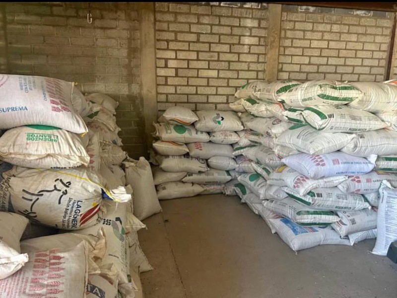 Productores de frijol piden que precio de garantía suba a $30 pesos
