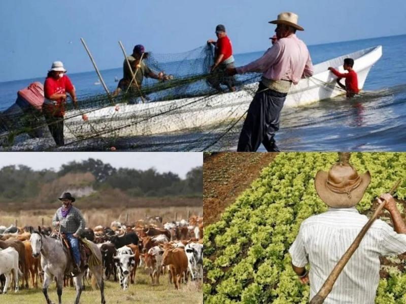Productores de Fuerte Mayo exponen necesidades ante Sagarhpa